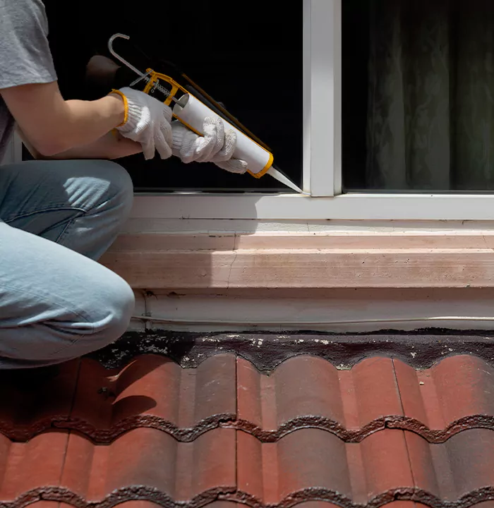 Roof Window Services in Dania Beach, Florida