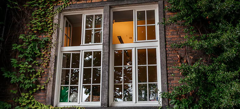 Energy Efficient Wood Windows in Dania Beach, FL
