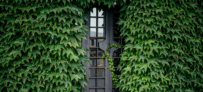 Garden Gate Repair in Dania Beach, FL