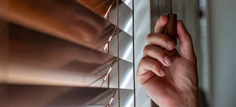 Double Roller Blinds in Dania Beach, FL