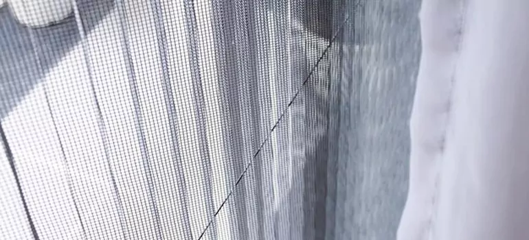 Fixing Screen Window Mesh in Dania Beach, FL