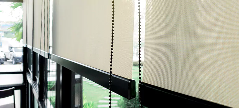 Blackout Window Shades in Dania Beach, FL
