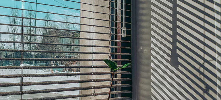 Commercial Window Blinds in Dania Beach, FL