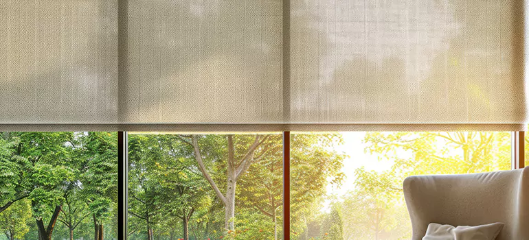 Custom Window Shades in Dania Beach, FL