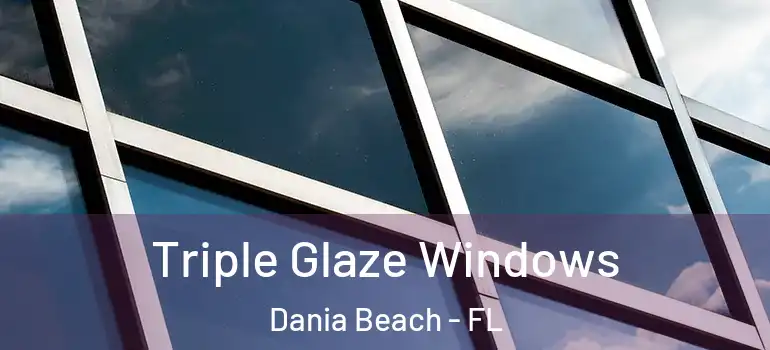  Triple Glaze Windows Dania Beach - FL