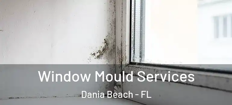  Window Mould Services Dania Beach - FL